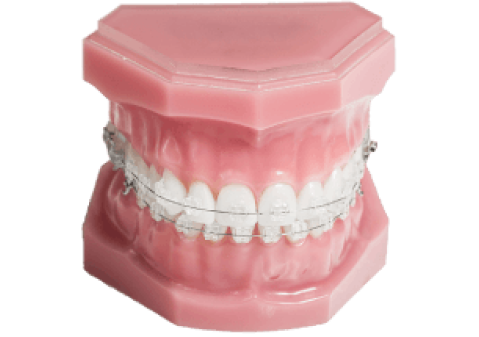 teeth_image